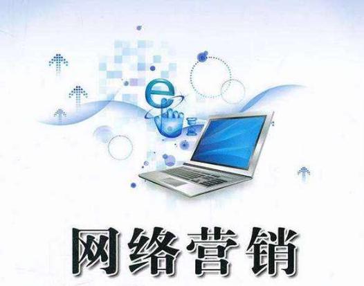 網(wǎng)絡(luò)營銷與互聯(lián)網(wǎng)銷售 數(shù)字時代的雙輪驅(qū)動
